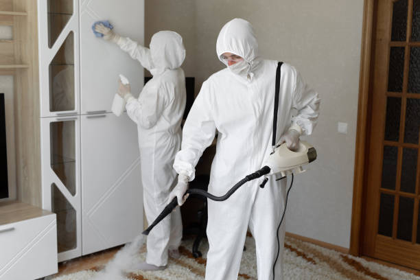 24/7 Emergency Odor Removal experts in Mount Hermon, CA